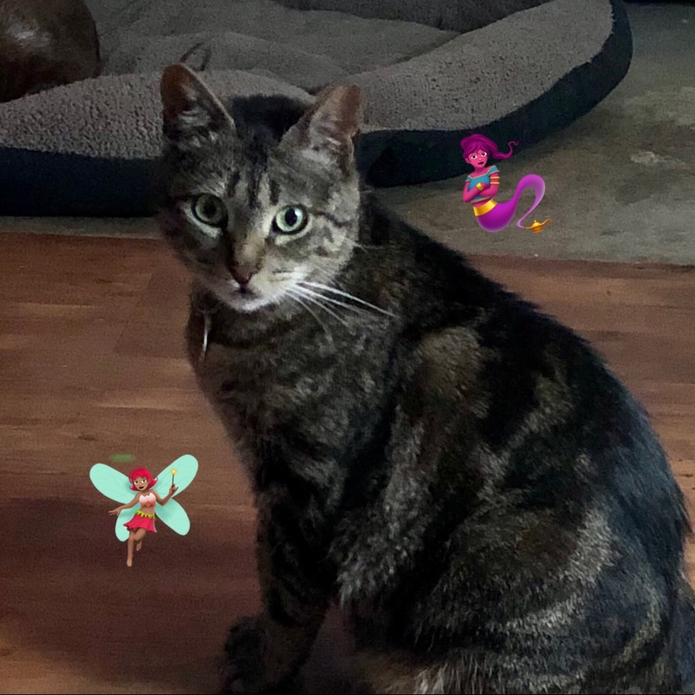 Meet your Posher, Melissa